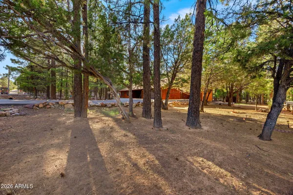 $530,000 | 2202 Forest Park Drive, Overgaard, AZ 85933