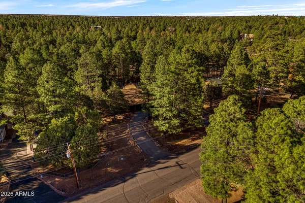 $530,000 | 2202 Forest Park Drive, Overgaard, AZ 85933