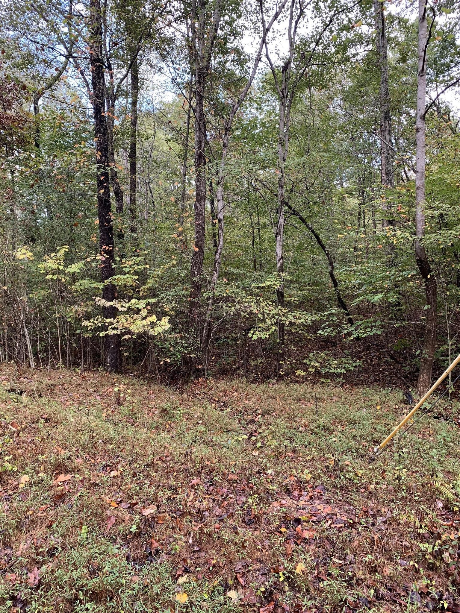 0 Brazzell Road Dickson, TN 37055 - Photo 1 of 11 a view of a yard with large trees