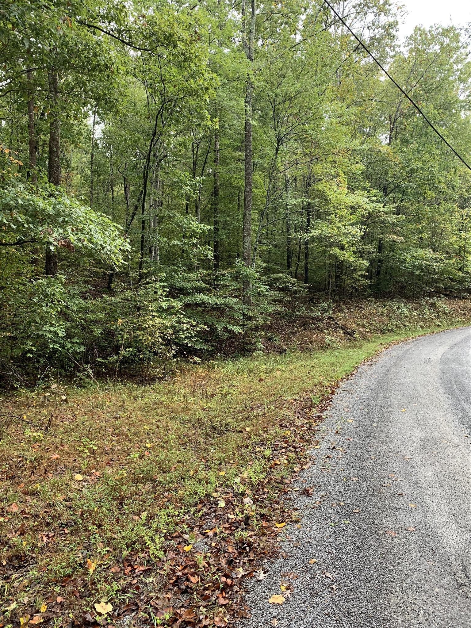 0 Brazzell Road Dickson, TN 37055 - Photo 11 of 11 a view of a yard with plants and large trees