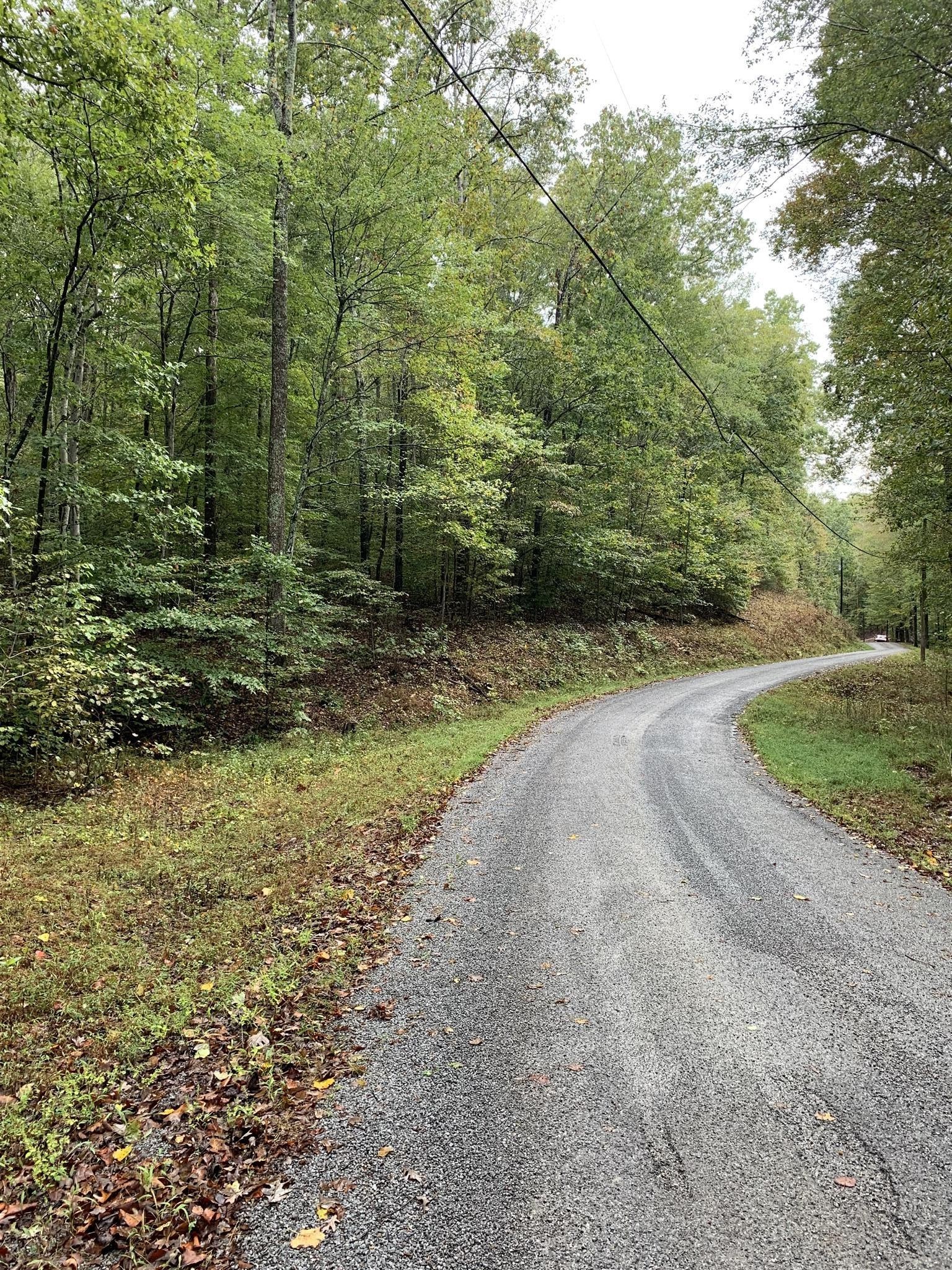 0 Brazzell Road Dickson, TN 37055 - Photo 4 of 11 a view of a yard with plants and trees