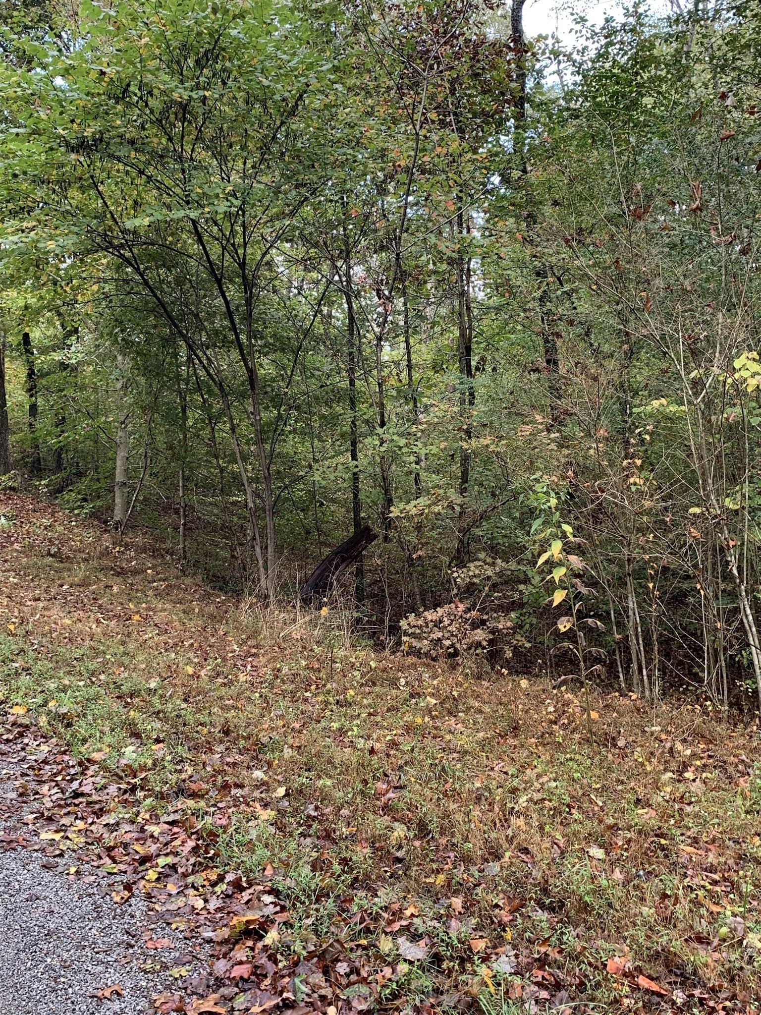 0 Brazzell Road Dickson, TN 37055 - Photo 7 of 11 a view of a forest with trees