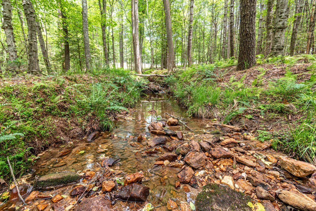 347 Dowd Road Morganton, GA 30560 - Photo 54 of 71 Gallery Image 54
