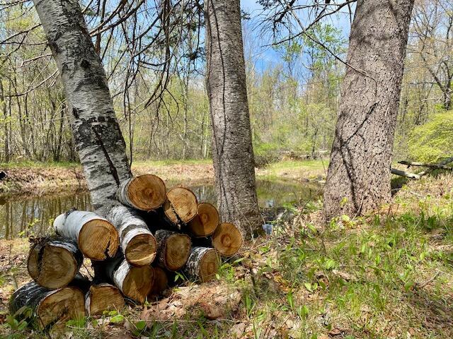 1029 N Road Parsonsfield, ME 04047 - Photo 18 of 27 IMG_5220