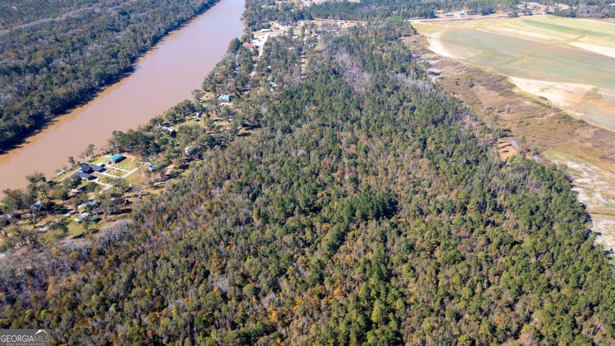 0 Grays Landing Road Uvalda, GA 30473 - Photo 2 of 9