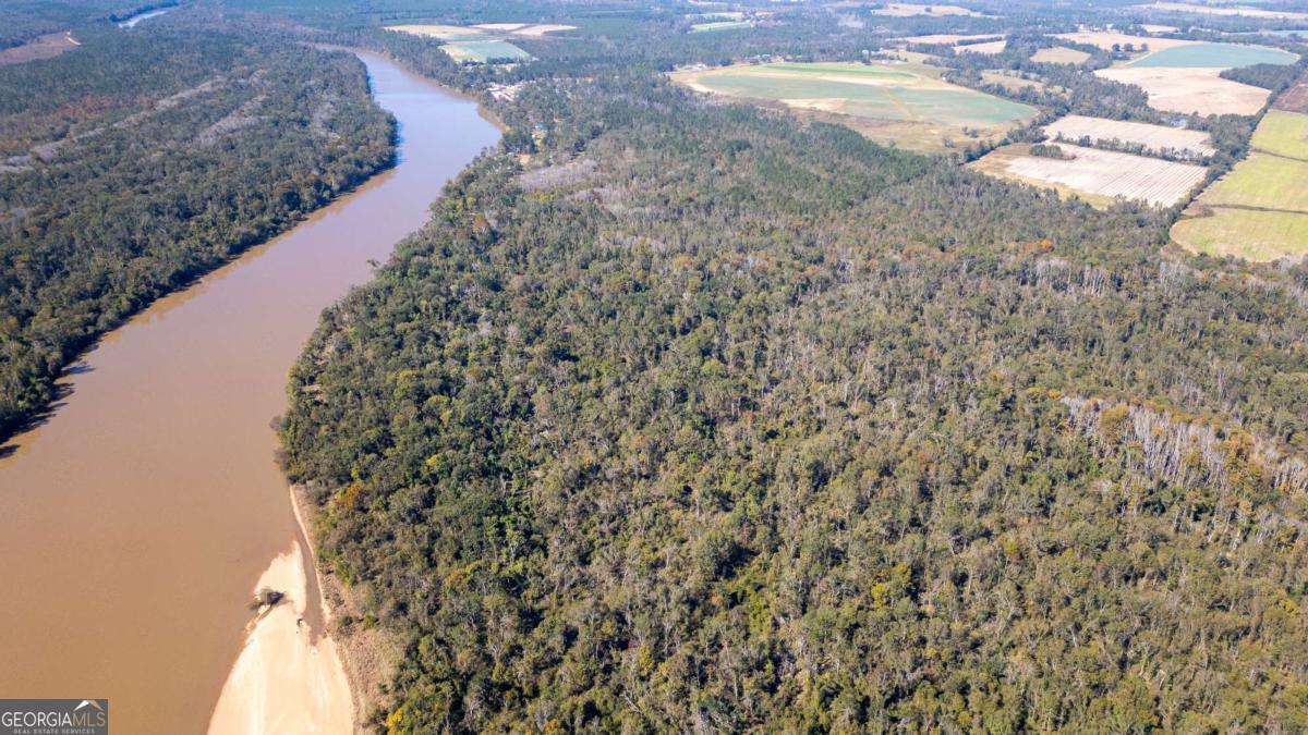 0 Grays Landing Road Uvalda, GA 30473 - Photo 3 of 9