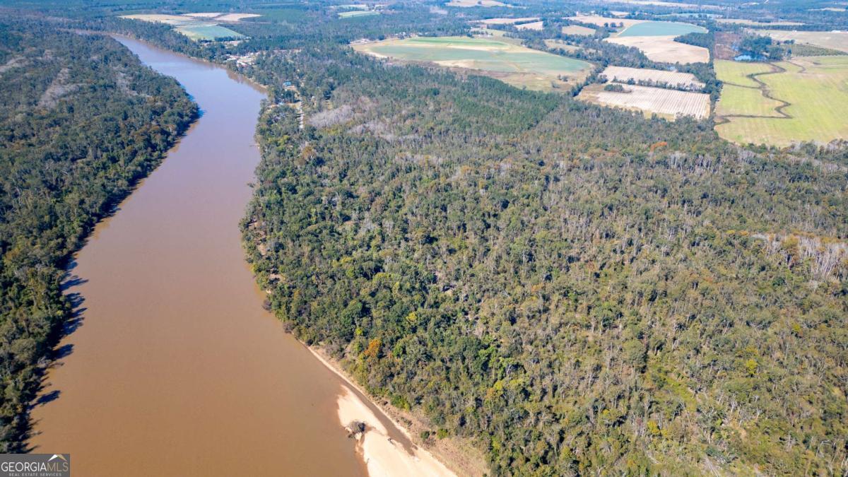 0 Grays Landing Road Uvalda, GA 30473 - Photo 4 of 9