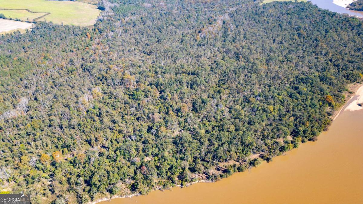 0 Grays Landing Road Uvalda, GA 30473 - Photo 5 of 9