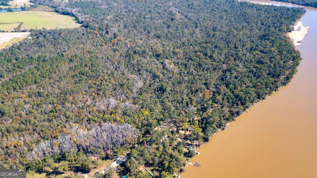 0 Grays Landing Road Uvalda, GA 30473 - Photo 6 of 9