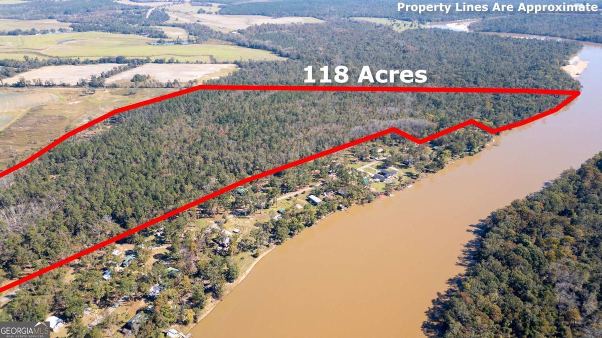 0 Grays Landing Road Uvalda, GA 30473 - Photo 7 of 9