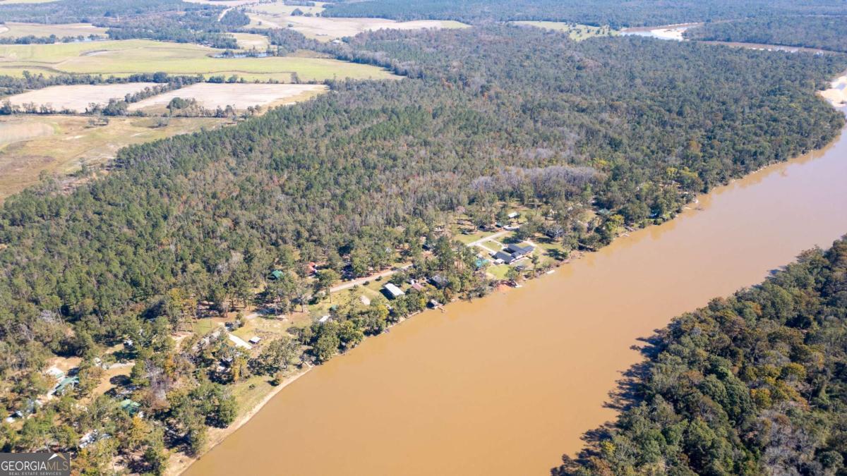 0 Grays Landing Road Uvalda, GA 30473 - Photo 8 of 9