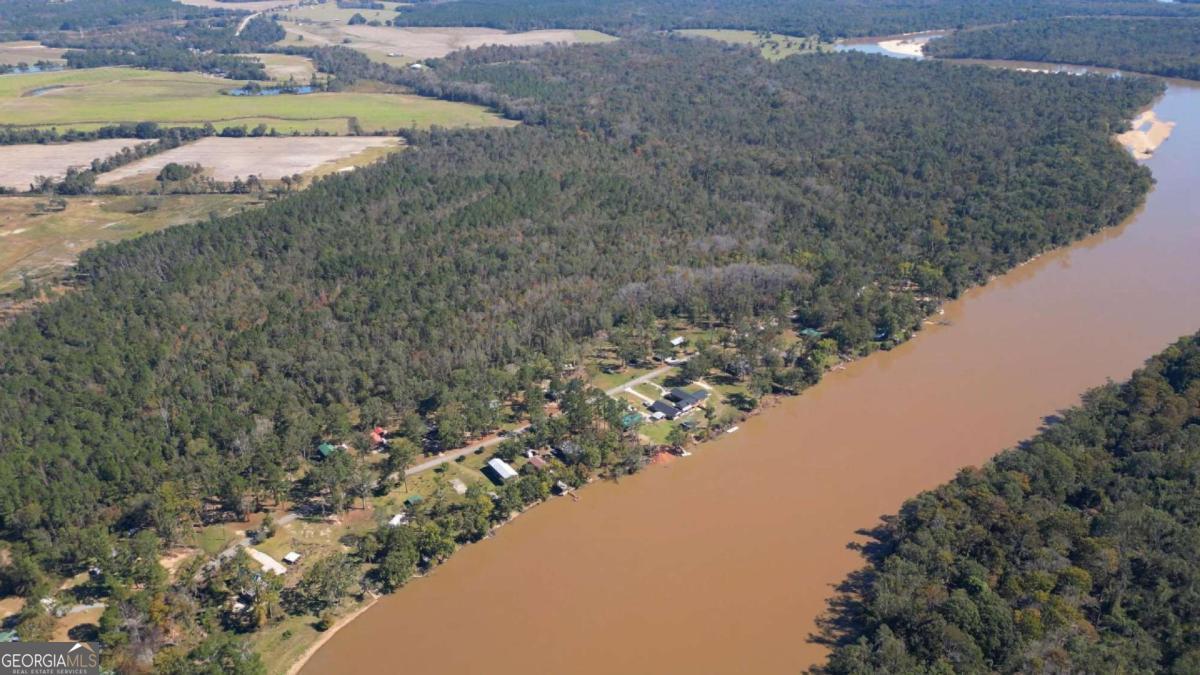 0 Grays Landing Road Uvalda, GA 30473 - Photo 9 of 9