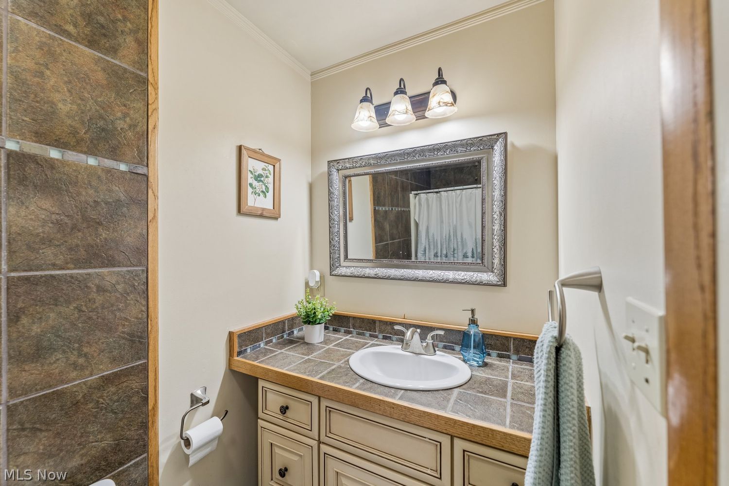 3035 Nagel Road Avon, OH 44011 - Photo 27 of 49 Gallery Image 27