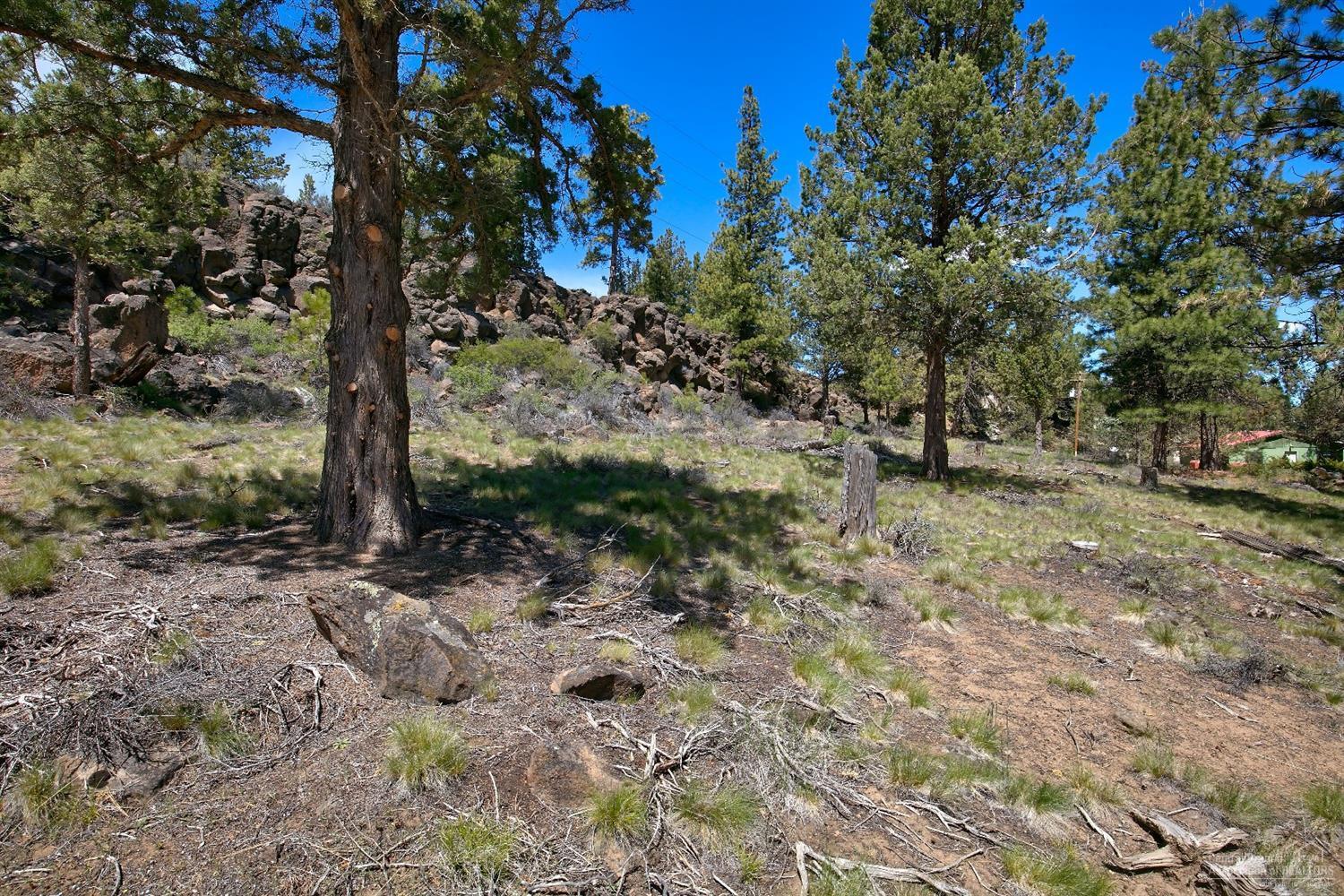 0 Skyline Ranch Bend Bend, OR 97703 - Photo 11 of 15 Additional Photo