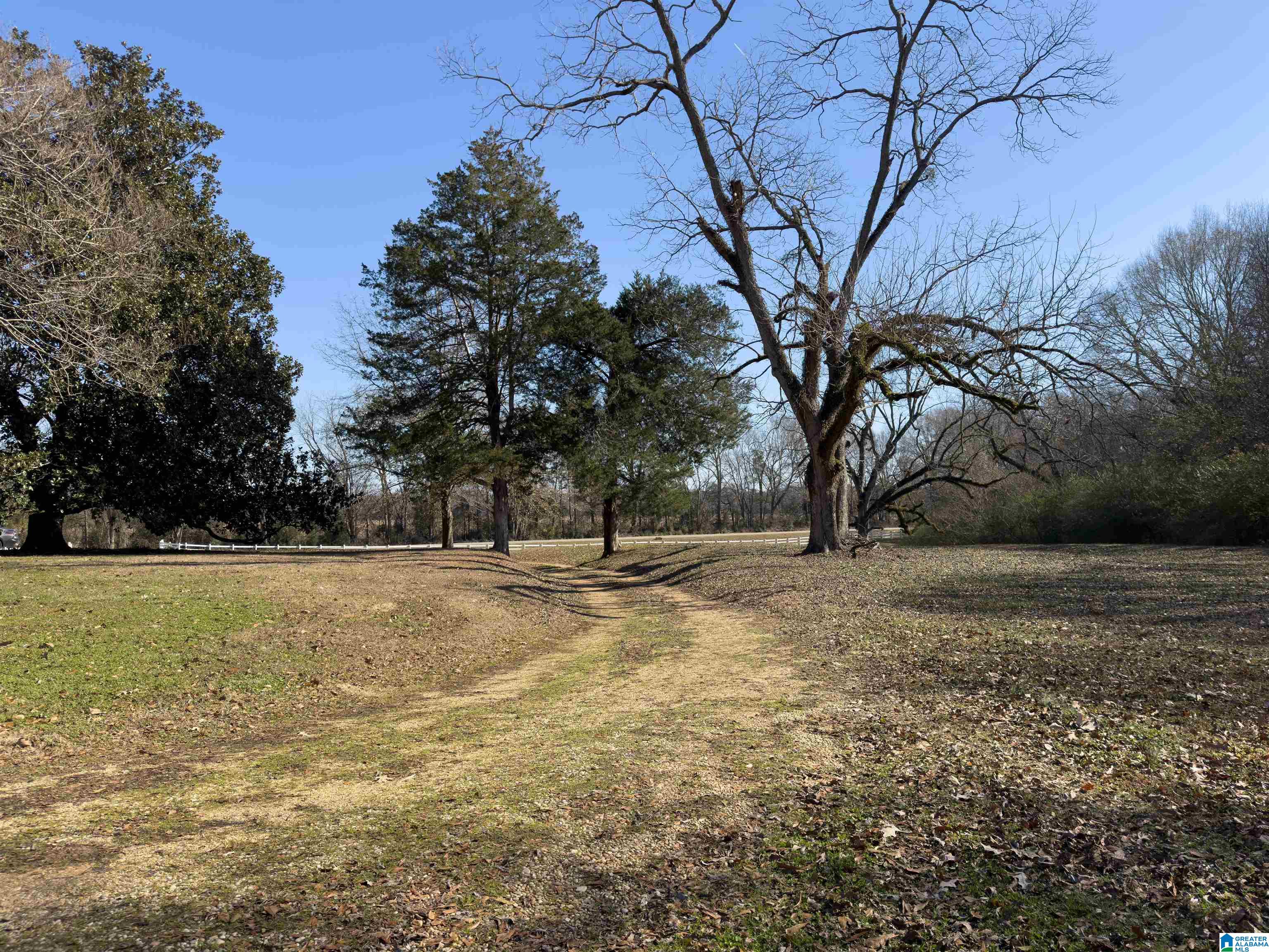 4366 County Road 45 Marion Junction, AL 36759 - Photo 40 of 41