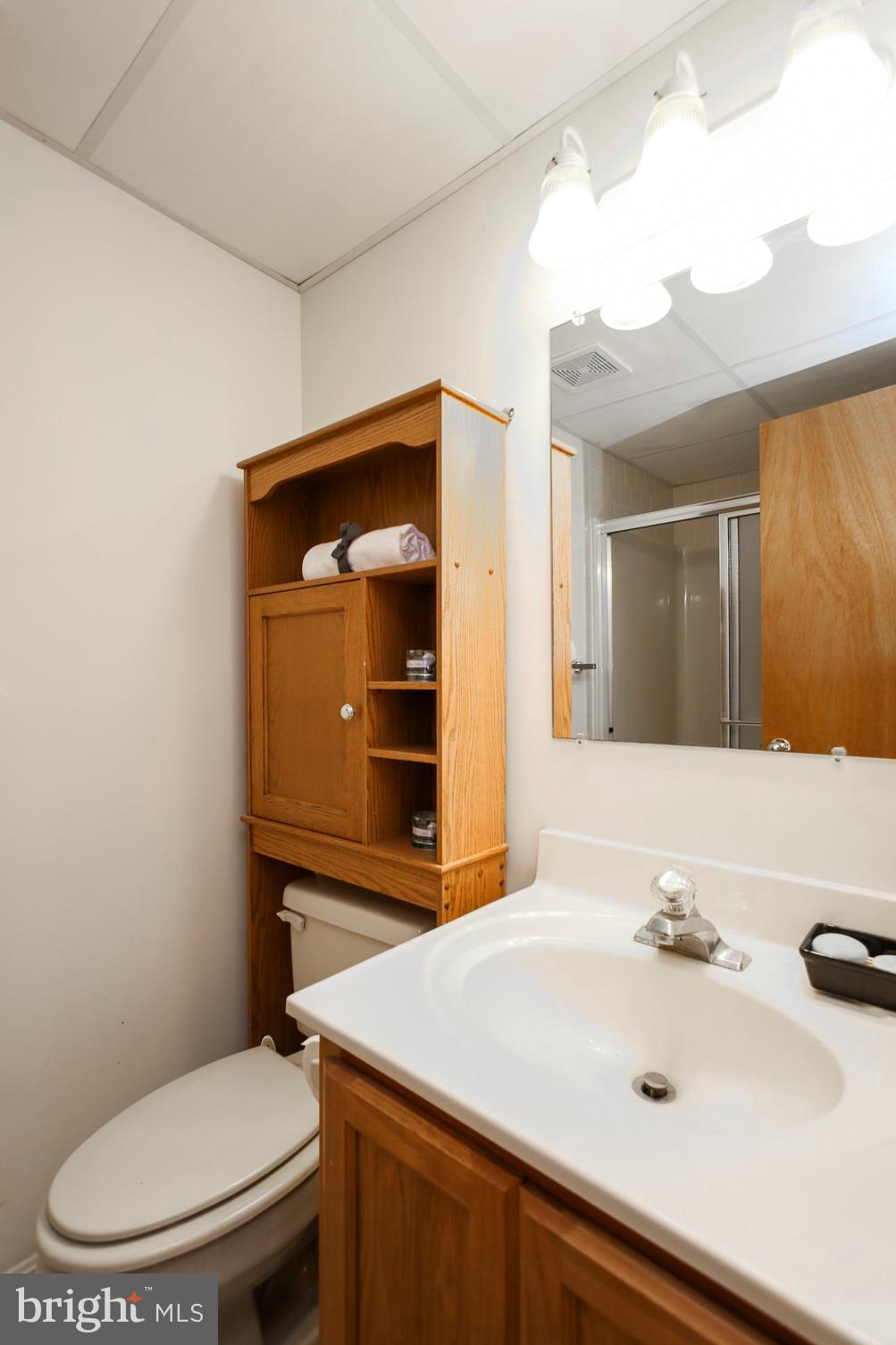462 Ridge Road Westminster, MD 21157 - Photo 24 of 39 Lower Level Full Bath