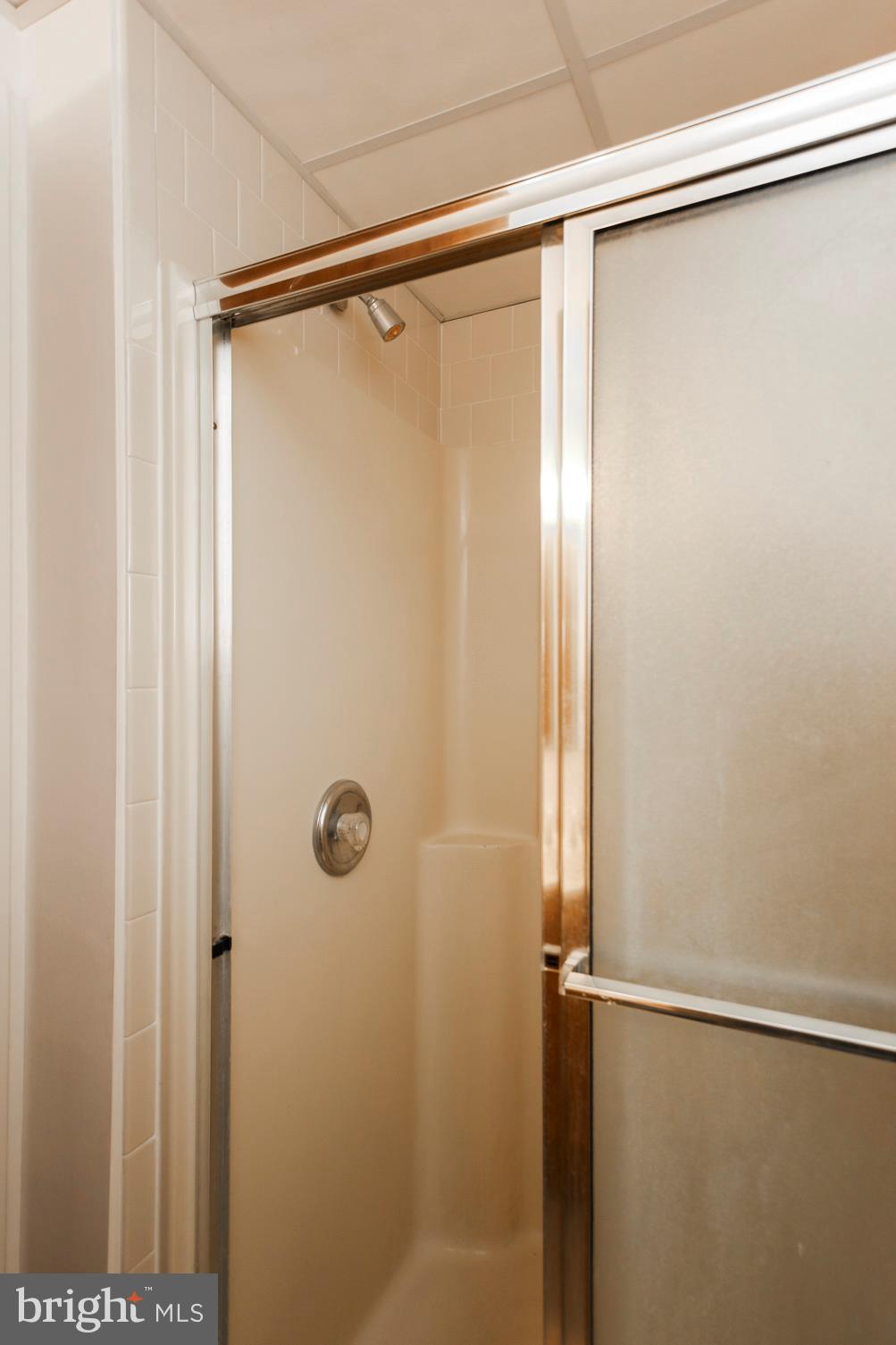 462 Ridge Road Westminster, MD 21157 - Photo 25 of 39 Lower Level Full Bath 2