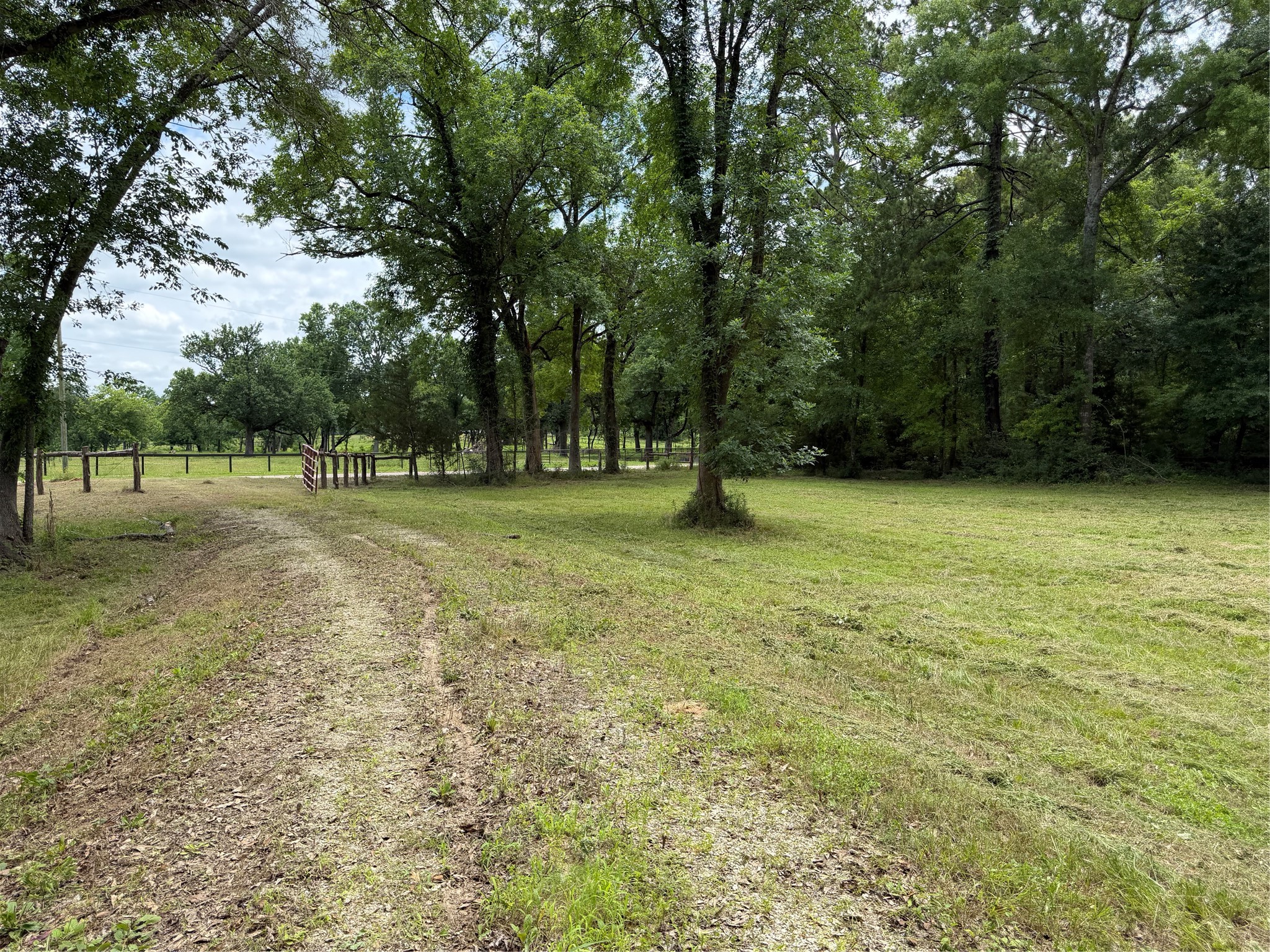 43 Stewart Road New Waverly, TX 77358 - Photo 18 of 21