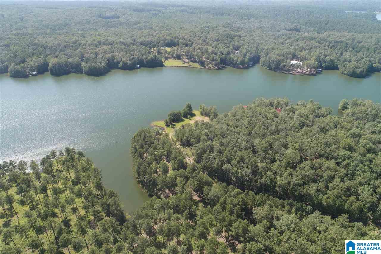 827 Colleton Forest Way, Unit 20 ACRES Vincent, AL 35178 - Photo 28 of 31