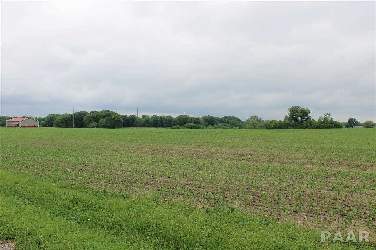 Lot 4 West Dubois Road Edwards, IL 61528 - Photo 2 of 3 Gallery Image 2