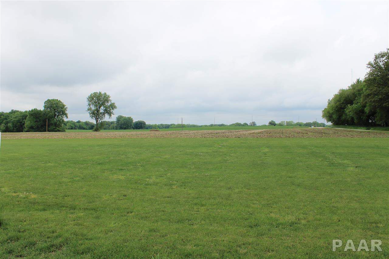 Lot 4 West Dubois Road Edwards, IL 61528 - Photo 3 of 3 Gallery Image 3