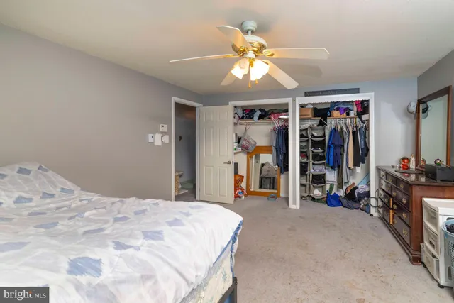 a bed room with a bed and a walk in closet