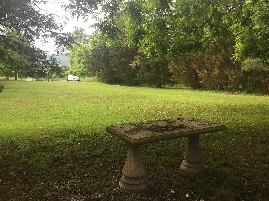 47 Riverview Road Townsend, TN 37882 - Photo 12 of 12 a view of a yard with an outdoor space