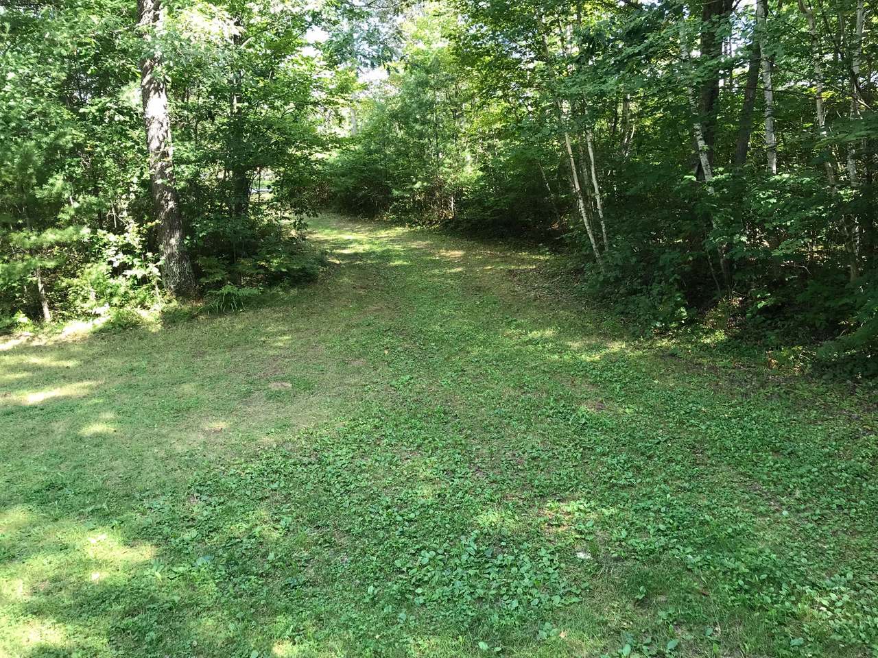 155 Saltzberry Road Eagle River, WI 54521 - Photo 9 of 21 Gallery Image 9