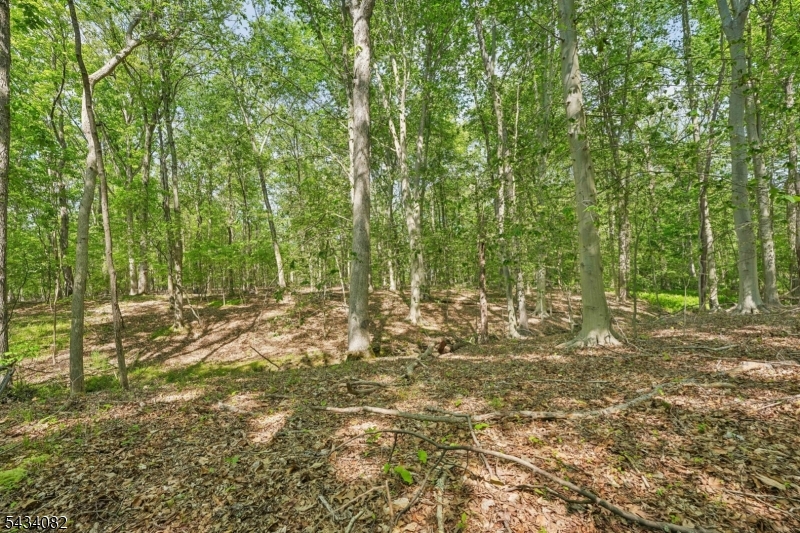 0 Homestead Road Gillette, NJ 07933 - Photo 9 of 26