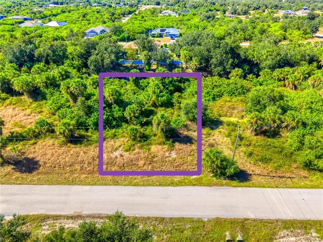 a view of a garden with flowers