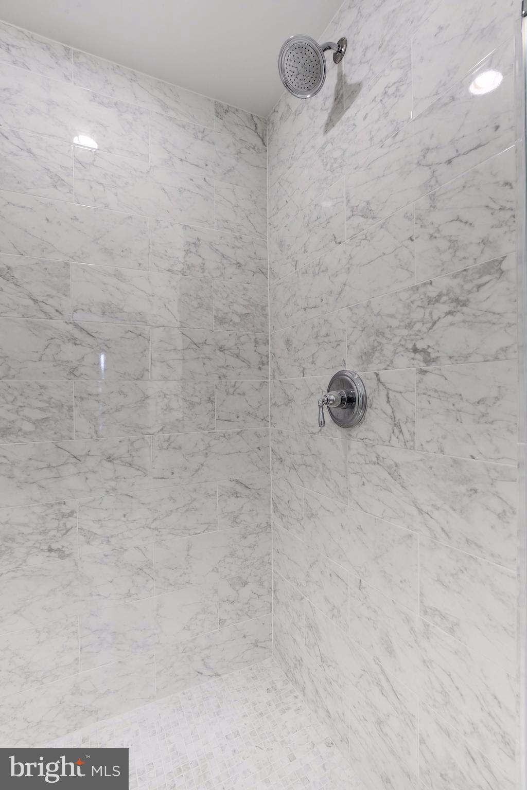 1340 Nicholson Street Northwest, Unit 4 Washington, DC 20011 - Photo 7 of 16 Marble showers with Chrome Fixtures
