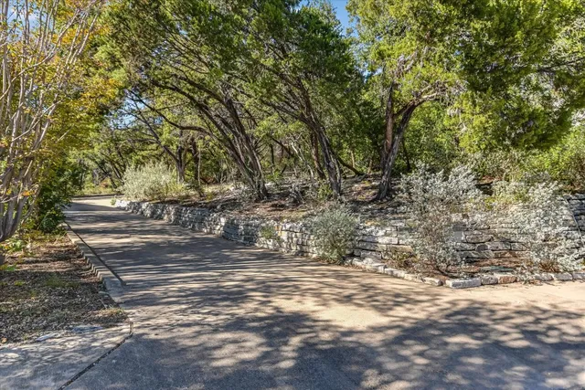 a view of a yard with trees