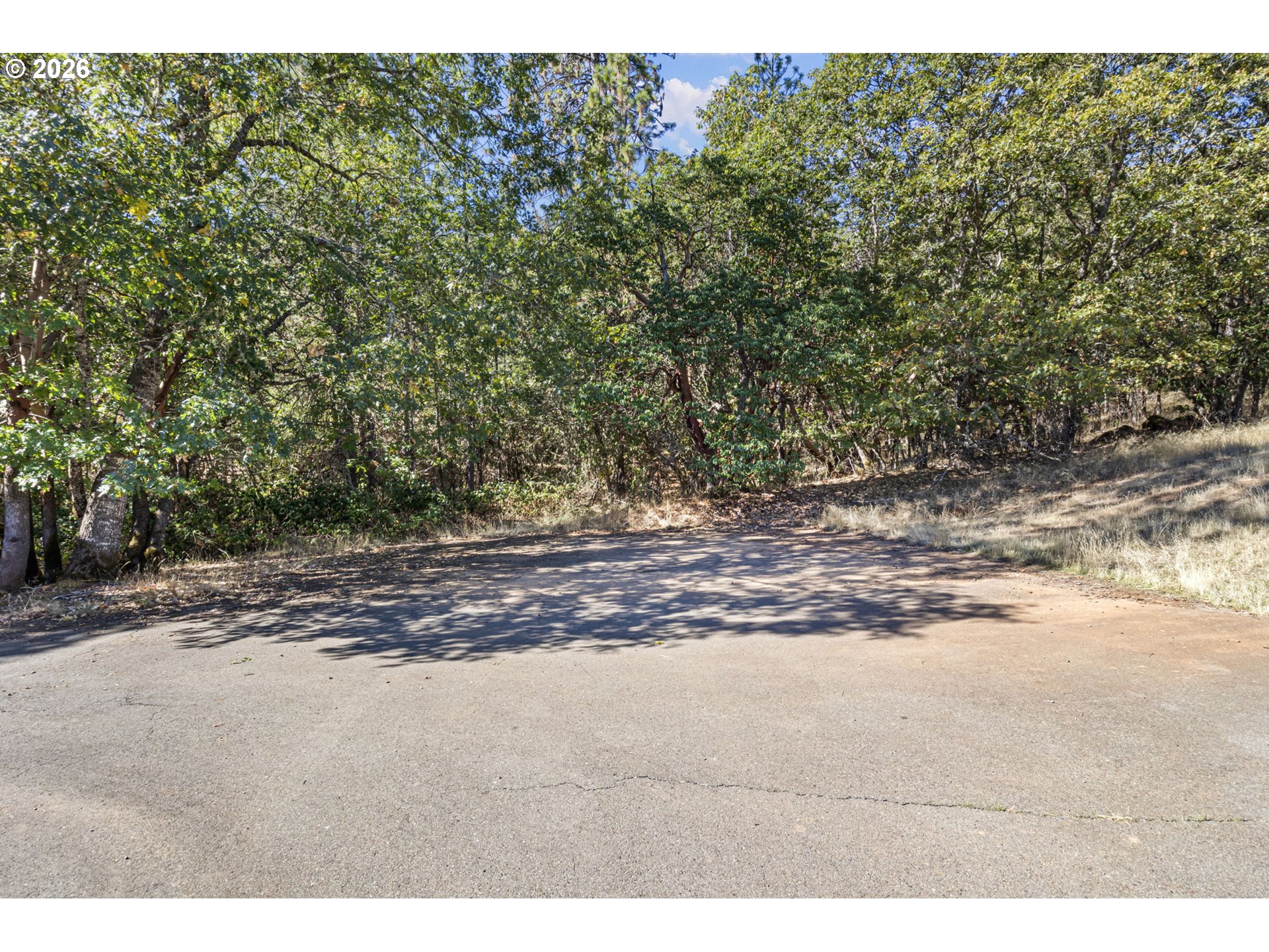 4950 Foothill Boulevard Grants Pass, OR 97526 - Photo 18 of 43 a view of a yard with a tree
