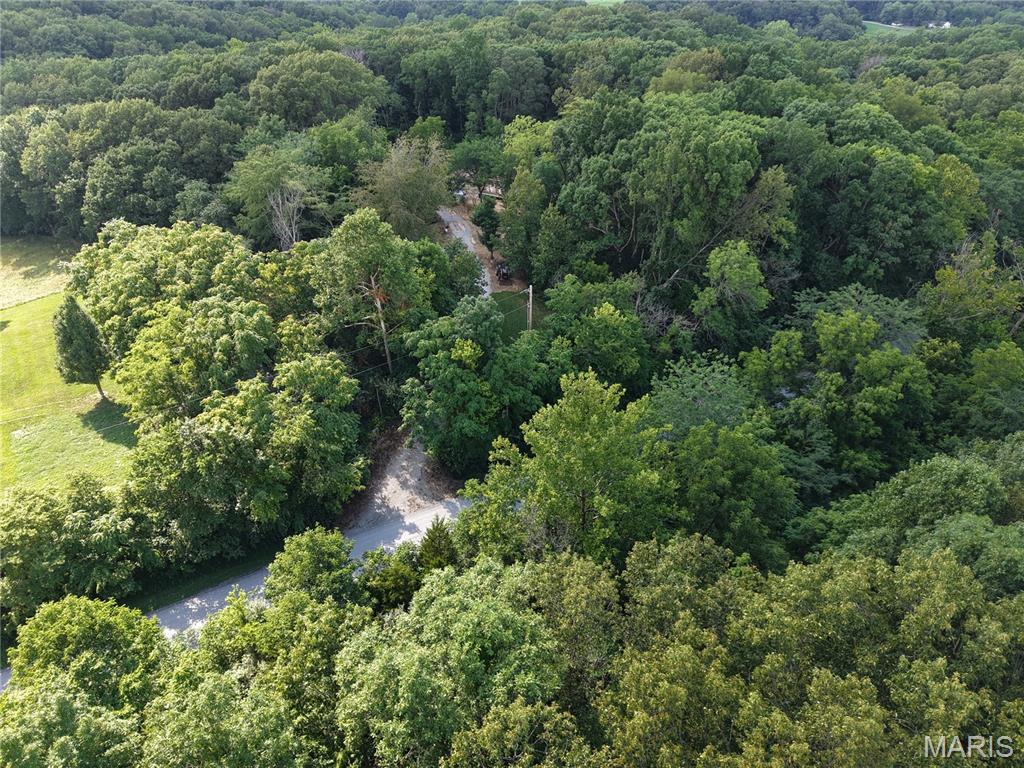 1133 Union School Road Ava, IL 62907 - Photo 24 of 46