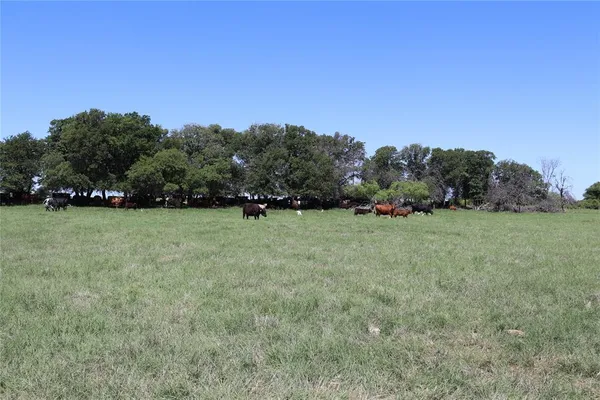 a view of outdoor space with green field and trees