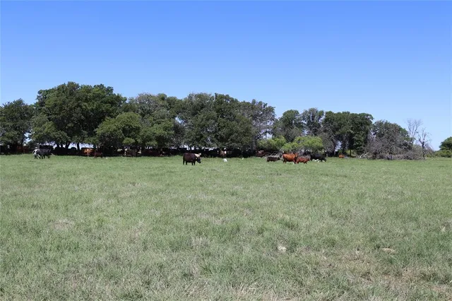 a view of outdoor space with green field and trees