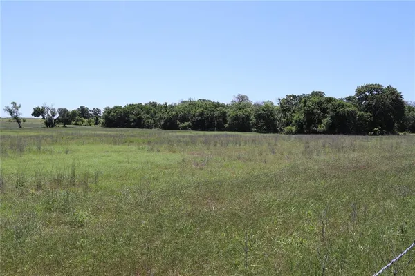 a view of a field with trees in background