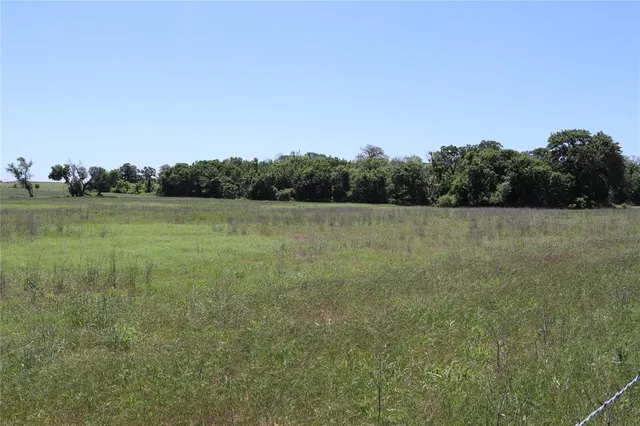 a view of a field with trees in background