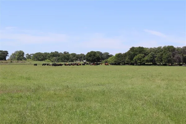 a view of a lake with houses in the back