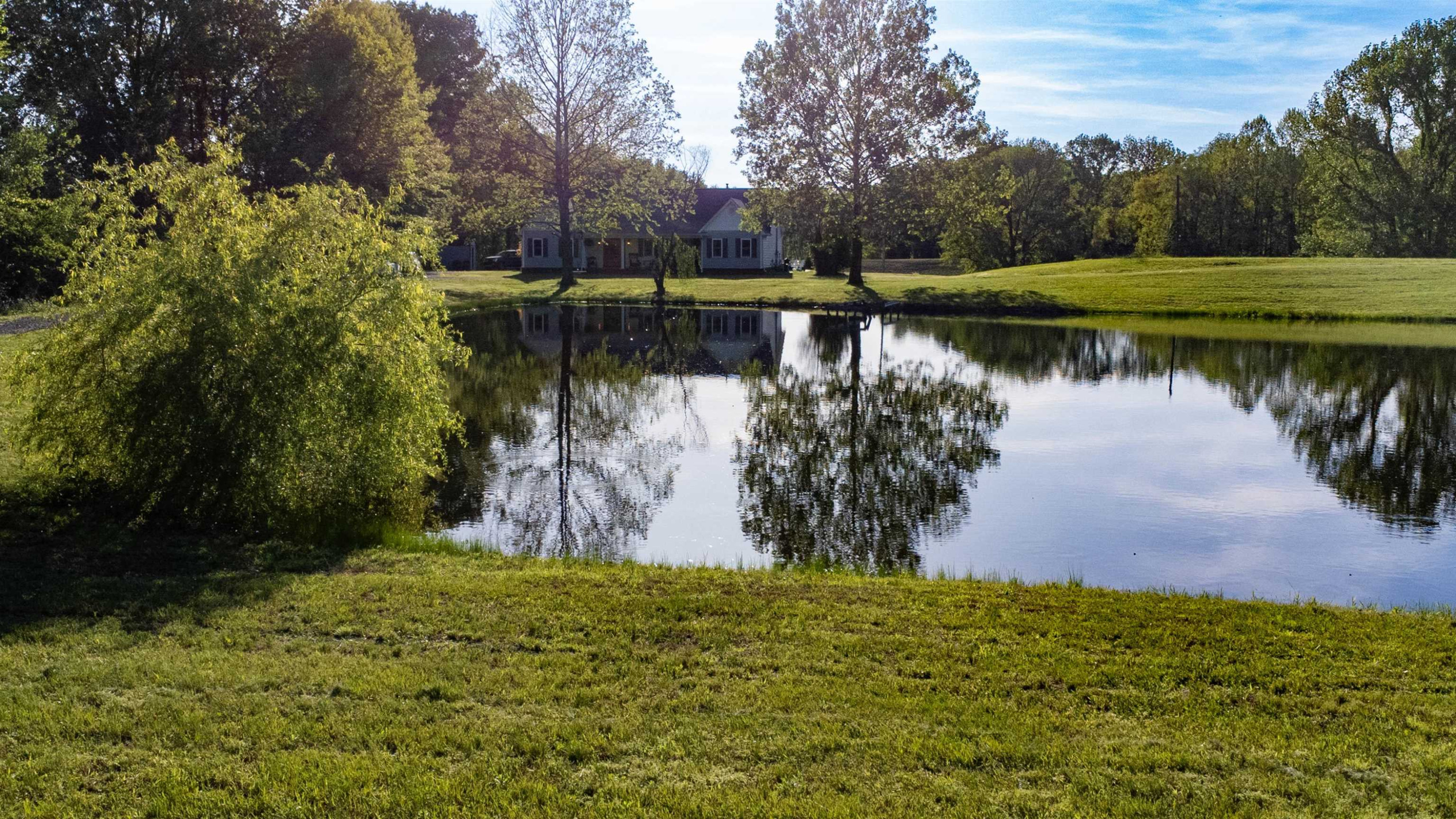495 Junius Lee Road Ripley, TN 38063 - Photo 9 of 38 a view of a lake with a yard and large trees