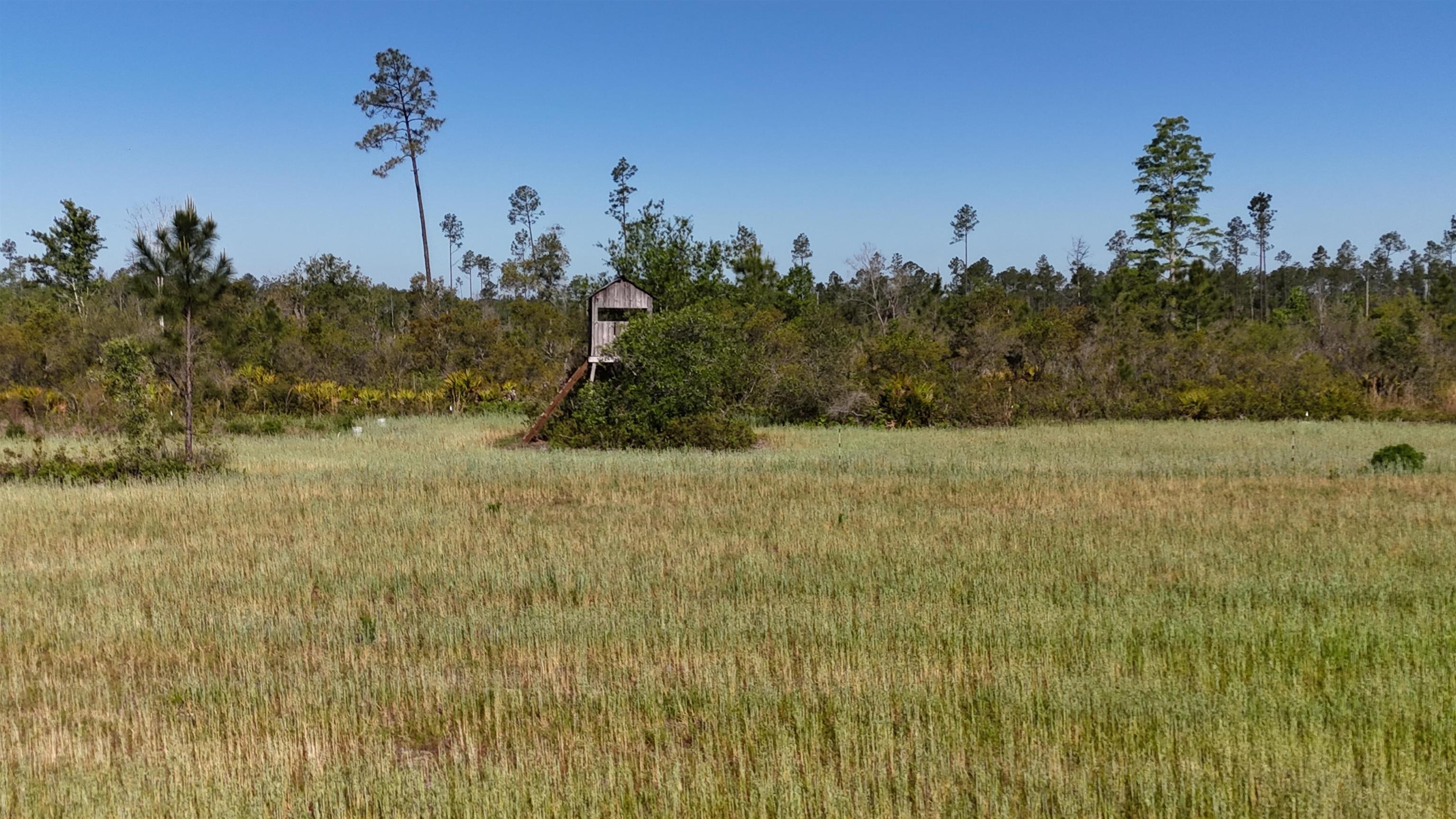 0 Madison Main Line Road Perry, FL 32347 - Photo 9 of 50