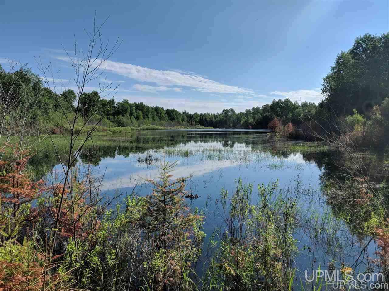 1356 Bates-Amasa Road Iron River, MI 49935 - Photo 11 of 11