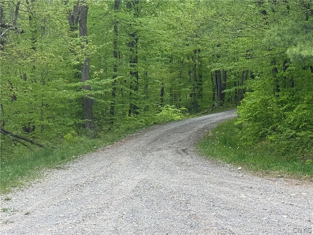 Lot #9 Lost Ridge Road, Unit 9 Camden, NY 13316 - Photo 21 of 27