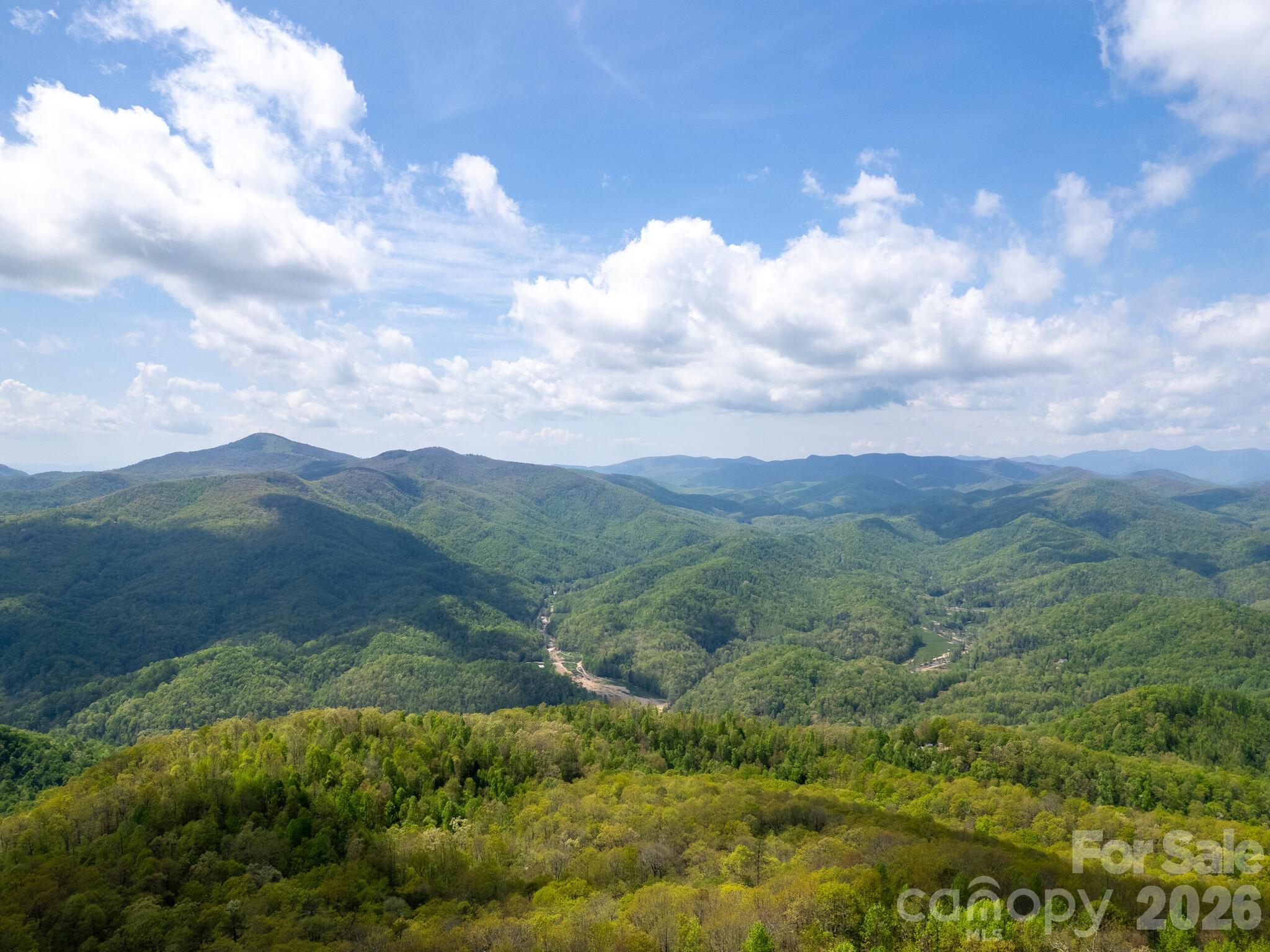 107 Fawns Rest Black Mountain, NC 28711 - Photo 6 of 47 a view of mountain with mountains in the background