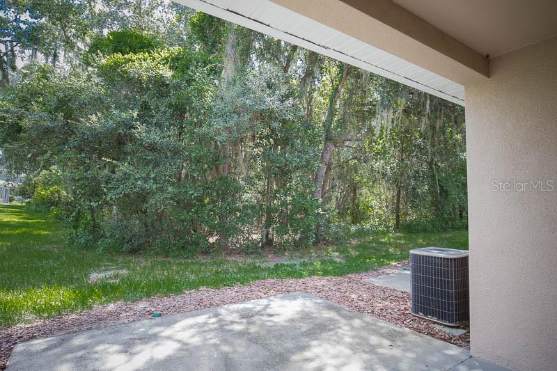 5879 Fishhawk Ridge Drive Lithia, FL 33547 - Photo 13 of 17