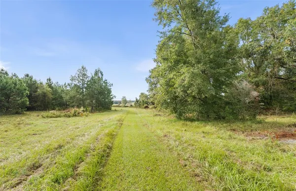 a view of a yard with a tree