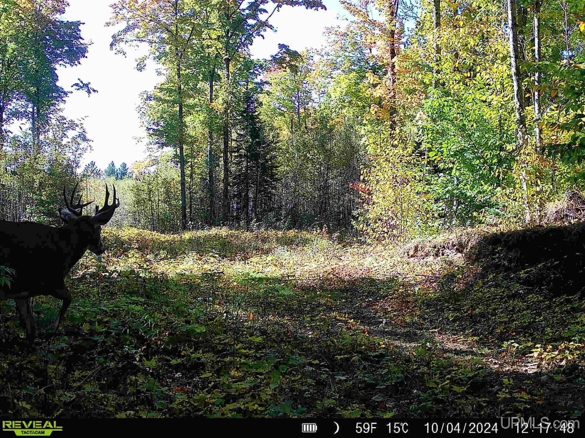 N1185 Tie Lake Road Wetmore, MI 49895 - Photo 25 of 36