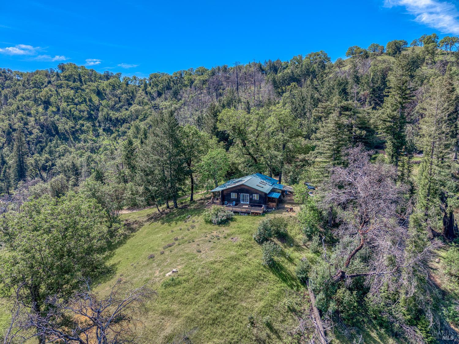 12300 Skaggs Springs Road Geyserville, CA 95441 - Photo 12 of 68 2 Bed 2 Bath Blue Metal Roof Cabin just down from the top.