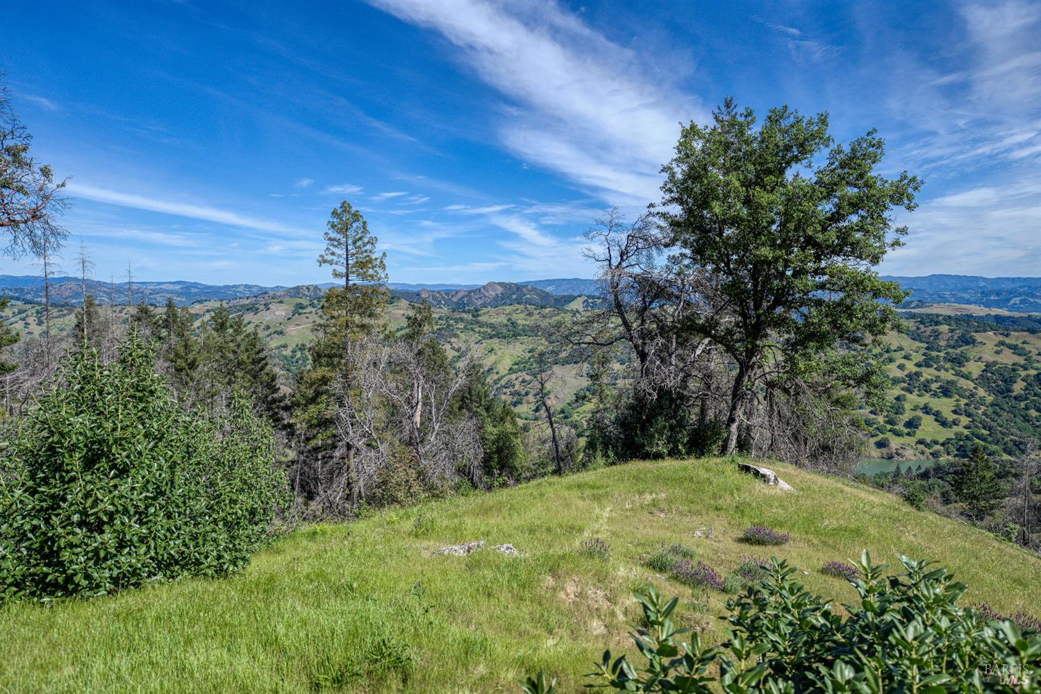 12300 Skaggs Springs Road Geyserville, CA 95441 - Photo 19 of 68 Sunny knoll to North of North Deck looking at Buzzard Rock across Lake Sonoma.