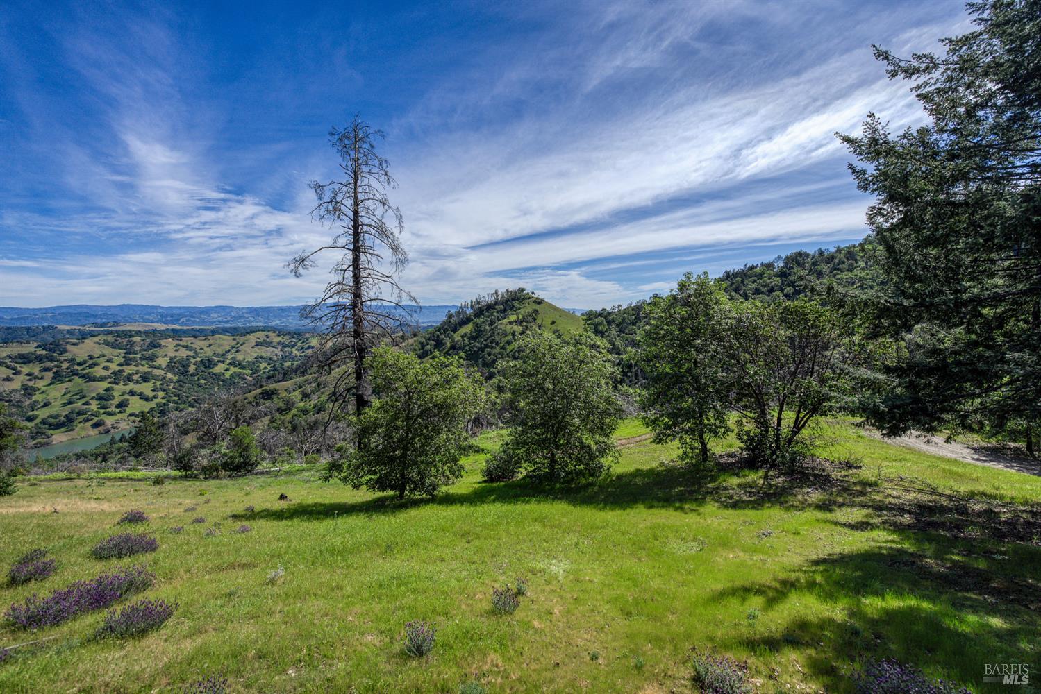 12300 Skaggs Springs Road Geyserville, CA 95441 - Photo 21 of 68 a view of a yard in front of a house